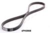 ASHIKA 112-4PK860 V-Ribbed Belts